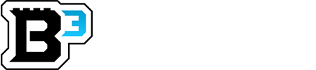 B3 Customs